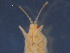  ( - SAEVG_Morph0379)  @11 [ ] Unspecified (default): All Rights Reserved  Unspecified Unspecified