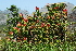  ( - AM0151)  @11 [ ] CreativeCommons - Attribution Non-Commercial Share-Alike (2011) Olivier Maurin University of Johannesburg