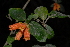  ( - AM0212)  @11 [ ] CreativeCommons - Attribution Non-Commercial Share-Alike (2011) Olivier Maurin University of Johannesburg