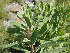  ( - Abbott9164)  @11 [ ] Unspecified (default): All Rights Reserved  Unspecified Unspecified
