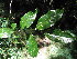  ( - Abbott9191)  @11 [ ] Unspecified (default): All Rights Reserved  Unspecified Unspecified
