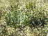  ( - Abbott9220)  @11 [ ] No Rights Reserved  Unspecified Unspecified