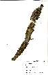  ( - Abbott9222)  @11 [ ] No Rights Reserved  Unspecified Unspecified