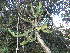  ( - Abbott9222)  @11 [ ] No Rights Reserved  Unspecified Unspecified