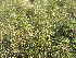  ( - Abbott9233)  @12 [ ] No Rights Reserved  Unspecified Unspecified