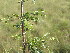  ( - Abbott9233)  @12 [ ] No Rights Reserved  Unspecified Unspecified