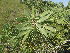  ( - Abbott9234)  @11 [ ] No Rights Reserved  Unspecified Unspecified