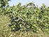  ( - Abbott9234)  @11 [ ] No Rights Reserved  Unspecified Unspecified