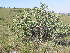  ( - Abbott9234)  @11 [ ] No Rights Reserved  Unspecified Unspecified