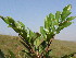  ( - Abbott9237)  @11 [ ] No Rights Reserved  Unspecified Unspecified