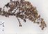  ( - Dlodlo108)  @11 [ ] No Rights Reserved  Unspecified Unspecified