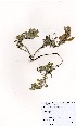  ( - BS0262)  @11 [ ] No Rights Reserved  Unspecified Unspecified