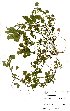  ( - BS0285)  @11 [ ] No Rights Reserved  Unspecified Unspecified