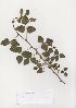  ( - Dlodlo29)  @11 [ ] No Rights Reserved  Unspecified Unspecified