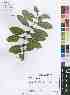  ( - Burrows12843)  @11 [ ] No Rights Reserved  Unspecified Unspecified