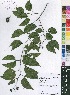  ( - Burrows13423)  @11 [ ] No Rights Reserved  Unspecified Unspecified