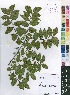  ( - Burrows13427)  @11 [ ] No Rights Reserved  Unspecified Unspecified