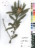  ( - Burrows13495)  @11 [ ] No Rights Reserved  Unspecified Unspecified