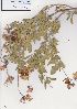  ( - Stirton13560)  @11 [ ] No Rights Reserved  Unspecified Unspecified