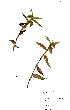  ( - DGE008-09.04.2011)  @11 [ ] No Rights Reserved  Unspecified Unspecified