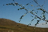  ( - DGE026-26.03.2011)  @11 [ ] No Rights Reserved  Unspecified Unspecified