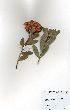  ( - DGE058-26.03.2011)  @11 [ ] No Rights Reserved  Unspecified Unspecified