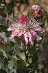  ( - DGE058-26.03.2011)  @11 [ ] No Rights Reserved  Unspecified Unspecified