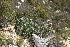  ( - DGE058-26.03.2011)  @11 [ ] No Rights Reserved  Unspecified Unspecified