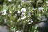  ( - DGE068-26.03.2011)  @11 [ ] No Rights Reserved  Unspecified Unspecified