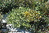  ( - DGE068-26.03.2011)  @11 [ ] No Rights Reserved  Unspecified Unspecified