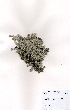  ( - DGE111-26.03.2011)  @11 [ ] No Rights Reserved  Unspecified Unspecified