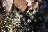  ( - DGE111-26.03.2011)  @11 [ ] No Rights Reserved  Unspecified Unspecified