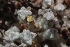  ( - DGE111-26.03.2011)  @11 [ ] No Rights Reserved  Unspecified Unspecified