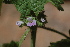  ( - DGE193-26.03.2011)  @11 [ ] No Rights Reserved  Unspecified Unspecified