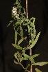  ( - DGE203-26.03.2011)  @11 [ ] No Rights Reserved  Unspecified Unspecified