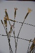  ( - Hahn2940)  @11 [ ] No Rights Reserved  Unspecified Unspecified