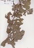  ( - AMM5968)  @11 [ ] No Rights Reserved  Unspecified Unspecified
