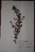  ( - K-0026)  @11 [ ] No Rights Reserved  Unspecified Unspecified