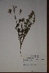  ( - K-0034)  @11 [ ] No Rights Reserved  Unspecified Unspecified