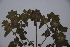 ( - K-0036)  @11 [ ] No Rights Reserved  Unspecified Unspecified