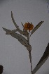  ( - K-0098)  @11 [ ] No Rights Reserved  Unspecified Unspecified