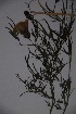  ( - K-0121)  @11 [ ] No Rights Reserved  Unspecified Unspecified
