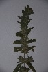  ( - K-0129)  @11 [ ] No Rights Reserved  Unspecified Unspecified