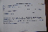  (Leucas neuflizeana - K-0129)  @11 [ ] No Rights Reserved  Unspecified Unspecified
