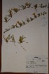  ( - K-0141a)  @11 [ ] No Rights Reserved  Unspecified Unspecified