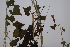  ( - K-0222)  @11 [ ] No Rights Reserved  Unspecified Unspecified