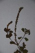  ( - K-0258)  @11 [ ] No Rights Reserved  Unspecified Unspecified