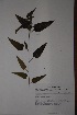  ( - K-0324)  @11 [ ] No Rights Reserved  Unspecified Unspecified