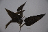  ( - K-0324)  @11 [ ] No Rights Reserved  Unspecified Unspecified