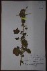  ( - K-0340)  @11 [ ] No Rights Reserved  Unspecified Unspecified
